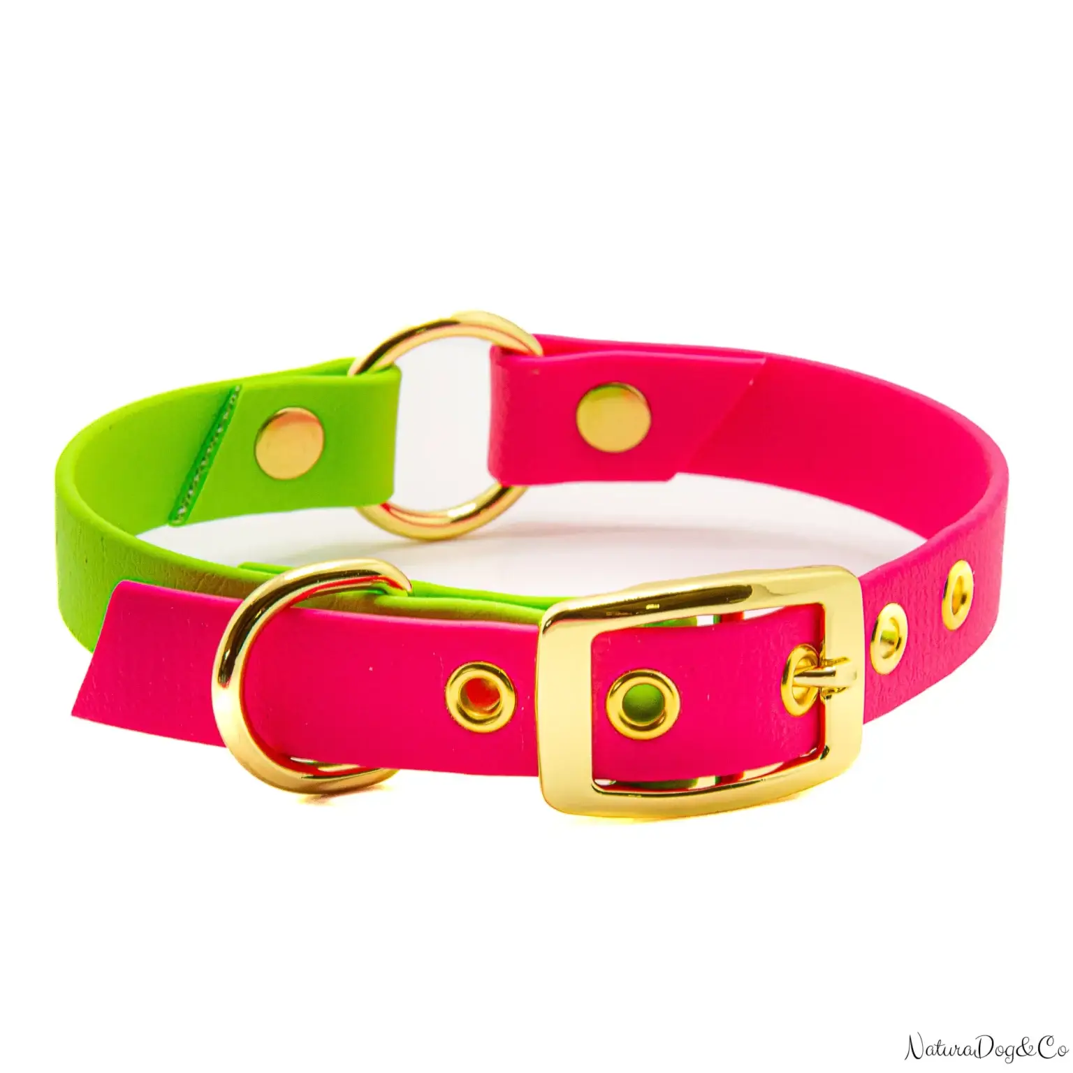 Collier pour chien