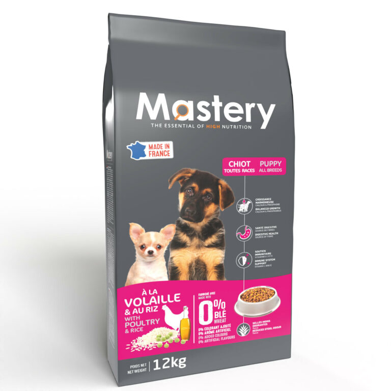 Mastery chiot toutes races