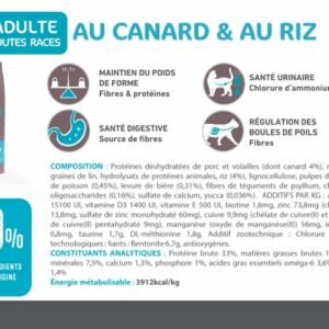 Mastery chat canard