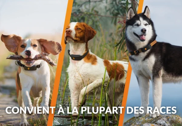 Collier GPS pour chien - Weenect XT - Noir – Image 4