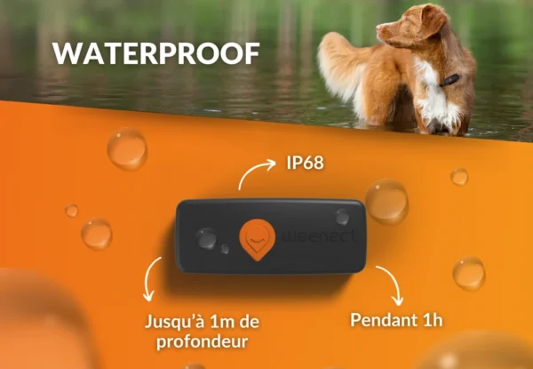 Traceur GPS pour chien - Weenect XS - Noir | Mini GPS – Image 3