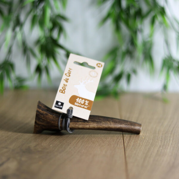 Bois de cerf - Taille M & L – Image 4