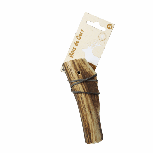 Bois de cerf - Taille M & L – Image 3